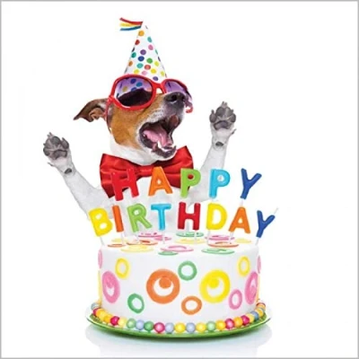 Image of Birthday Funny Card for Men / Women General Humour Male Female Party Dog with Cake Eco Friendly By Abacus Cards