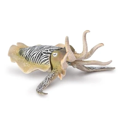 Image of CollectA Common Cuttlefish Realistic Hand Painted Sea Life Creature, Ocean Toys &amp; Figures, Animal Models, Wildlife Gifts For Toddlers Kids, Age 3 Years +