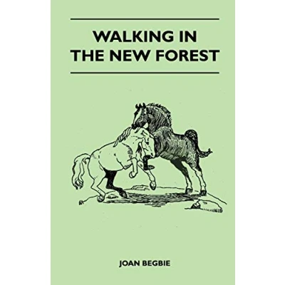 Image of Walking in the New Forest
