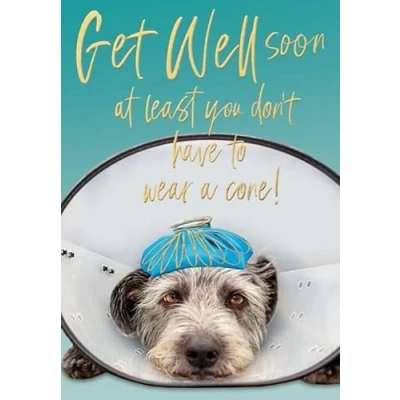 Image of Abacus Cards Get Well Card Dog Wearing Cone Collar Embossed with a Foil Finish Eco Friendly and Recyclable
