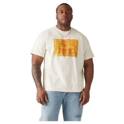 Image of Levi&#039;s Plus Relaxed FIT TEE Print Tshirt, Men&#039;s, Size: 2XL, archival 2hp patch egret