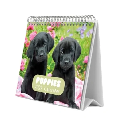 Image of Grupo Erik Dog Desk Calendar 2025 8 x 7 inches 20 17 cm 12 Month Planner, Desktop 2025, Dogs
