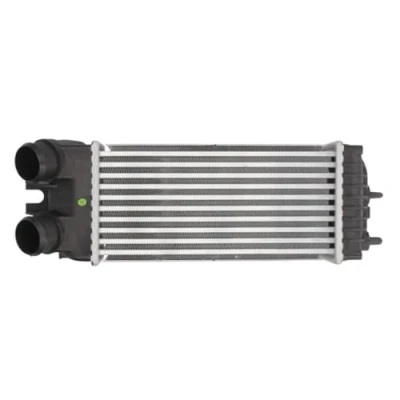 Image of 0384G5, 9645965180 Intercooler THERMOTEC DAC002TT 300 147 85