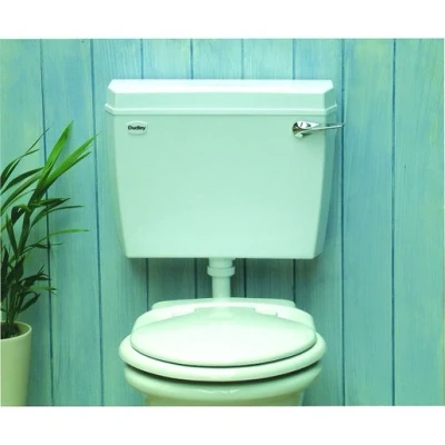 Image of Thomas Dudley Ltd Acclaim Side Inlet Dual Flush Lever Cistern 9Ltr