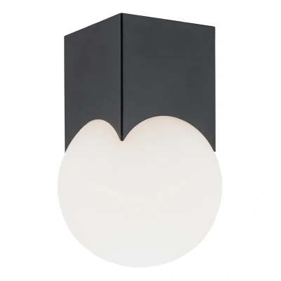Image of Austin Surface Mounted Downlight Opal Matt, Black Matt