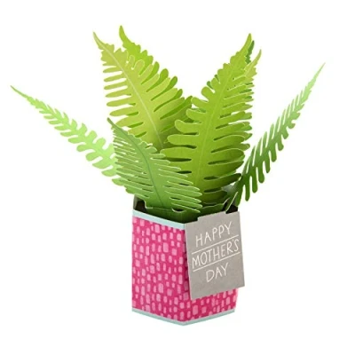 Image of Hallmark Mother&#039;s Day Card, Pop Up Plant &#039;Paper Wonder&#039; Design
