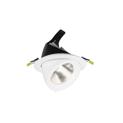Image of Accentplus Scoop Adjustable LED Downlight 30W 3000K Integral