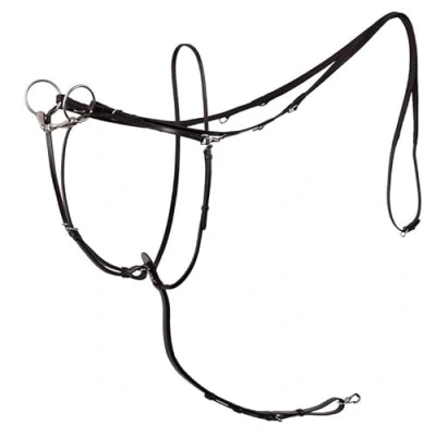 Image of BR Thiedeman Rein Lancaster Full / Silver Black