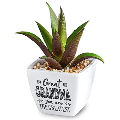 Image of History &amp; Heraldry Personalised Sentiment Succulents Great Grandma