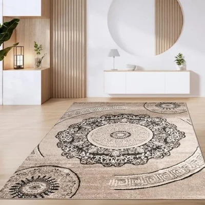 Image of Paco Home Large Rug Short Pile Vintage Geometric Modern Pattern Brown Beige, Size:160x220 cm, Colour:Brown 5