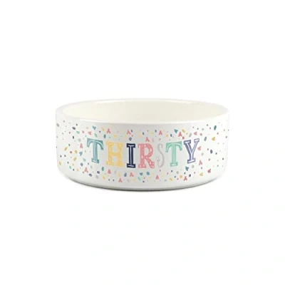 Image of Thirsty Dog Small Pet Food Bowl Multicolour Speckles Ceramic White Drinks Water Dish For Cats &amp; Dogs