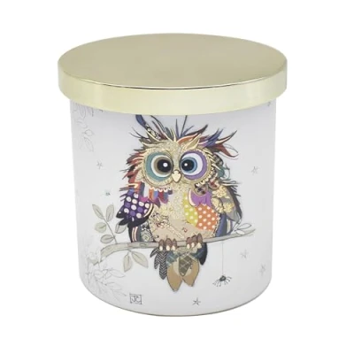 Image of L &amp; P Home Gifts Kooks Owl Candle Gift Lovely for Women Men Designed by Bug Art All Occasions Luxury Décor Office