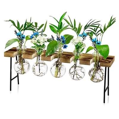 Image of Hundnsney Propagation Stations Desktop Air Plant Terrarium, Glass Planter Bulb Vase with Wooden Stand Terrarium