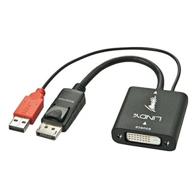 Image of LINDY DVI D to DisplayPort Converter Adapter Black