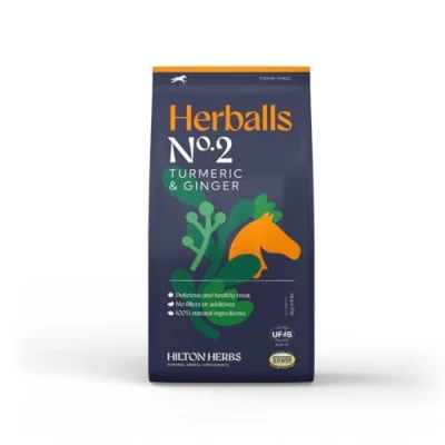 Image of Hilton Herballs No. 2 Turmeric &amp; Ginger All Natural Horse Treats. Tasty Treats or Rewards for Horses and Ponies. No Additives Fillers. Molasses Free. 100% Ingredients. 2kg Bag. Made in UK.