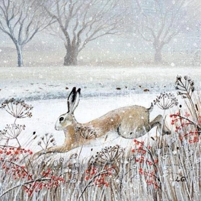 Image of Museums &amp; Galleries Pack of 8 Artistic Charity Christmas Cards (MG MAHX897) From Leaping Hare by Lucy Grossmith 1 Design Sold in Aid Macmillan Cancer Support