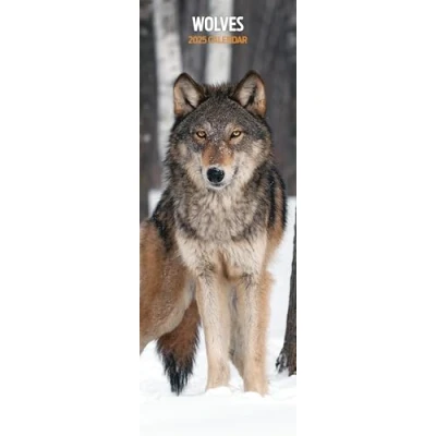 Image of Wolves 2025 Slim Calendar