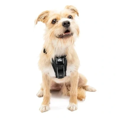 Image of Enhanced Strenght Tru Fit Smart Harness, Black, Small