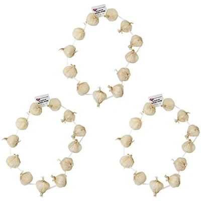 Image of ONION GARLIC GARLAND NECKLACE FRENCH OR VAMPIRE SLAYER FANCY DRESS PACK OF 1