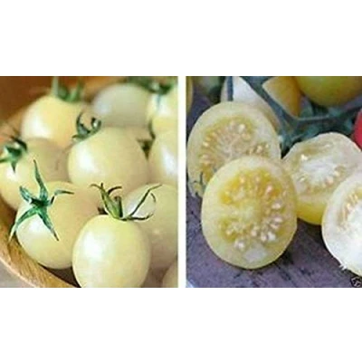 Image of 25 Seed of Snow White Cherry Tomato