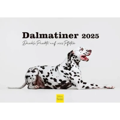 Image of Edition Seidel Premium Calendar Dalmatians Dark Dots on Four Paws 2025 Format DIN A3 Wall Dog Dogs Pets Breed Puppies