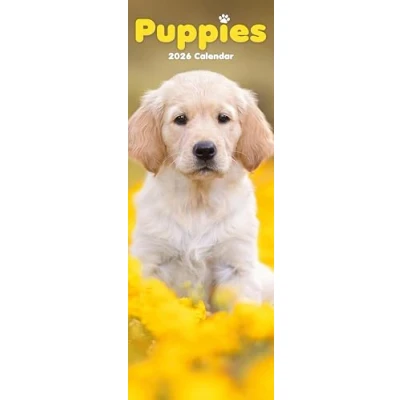 Image of Puppies Slim Calendar 2026
