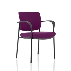 Image of Brunswick Deluxe Black Frame Bespoke Colour Back Seat Purple With Arms
