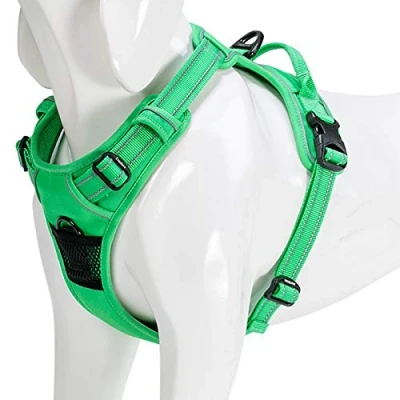 Image of WINHYEPET True Love Dog Harness, No Pull Reflective Pet Harness with 2 Leash Clips Adjustable Soft Padded Vest Easy Control Handle for Small Medium Large TLH5651(Purple,L)