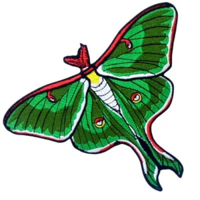 Image of Luna Moth Actias Cute Green Insect Sew on only Embroidered Patch