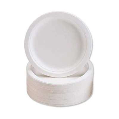 Image of Premium 9 Inch Sugarcane Bagasse Disposable Plates (Pack of 500)
