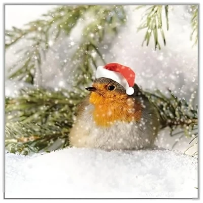 Image of Charity Christmas Cards Pack of 6 Marie Curie, Parkinsons, Oxfam, British Heart, Stroke and NSPCC Snowy Santa Robin Festive Design Eco Friendly
