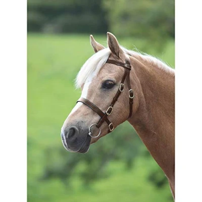 Image of Shires Blenheim Plain Inhand Bridle Havana Full