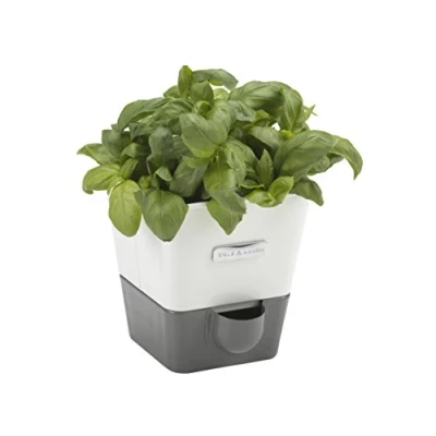 Image of Burwell Self Watering Potted Herb Keeper Small
