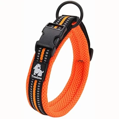 Image of Truelove Dog Training Collar TLC5011 Reflective Premium Buckle Nylon Webbing Pet Collars,High Grade No Choke Basic Collars Now Available (XL, Orange)