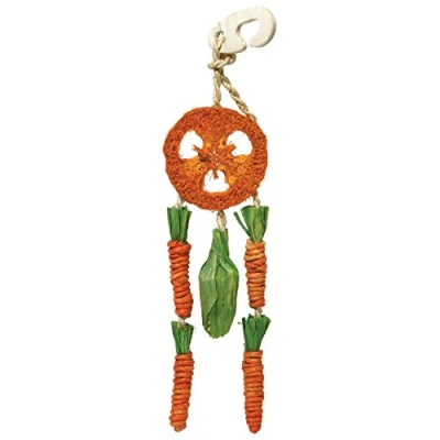 Image of Rosewood Boredom Breaker Carrot Dream Catcher for Small Animals, clear
