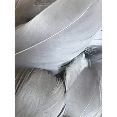 Image of Zebra Balloons Slate Grey Feathers, 100 Pack