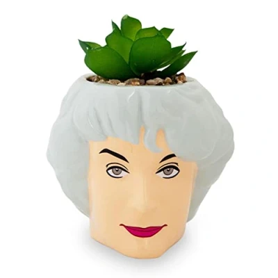 Image of Silver Buffalo The Golden Girls Dorothy 3 Inch Ceramic Mini Planter With Artificial Succulent