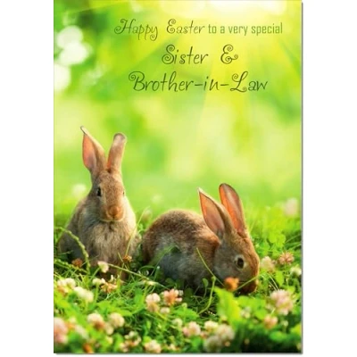 Image of doodlecards Sister &amp; Brother in Law Easter Card Two Bunnies Medium Size with Plain Envelope