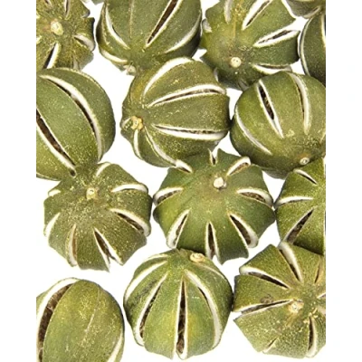 Image of Floralcraft 250g Dried Green Whole Oranges Fresh Scented Fruit For Christmas Wreath Garlands, Pot Pourri, Florist Décor