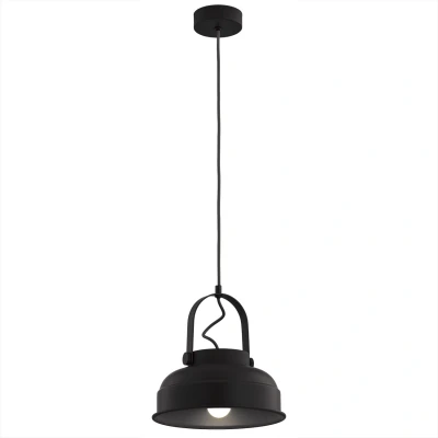 Image of Dakota Dome Pendant Ceiling Light Black