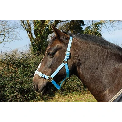 Image of Rhinegold Nylon Headcollar Shetland Baby Blue
