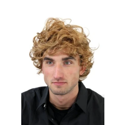 Image of ADONIS Men&#039;s WIG (for Men or Unisex) synthetic dark blond Greek/Roman God UNRULY wild Curls GFW963 19