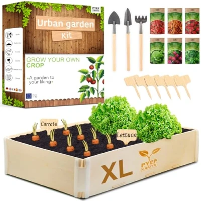 Image of Grow Your Own Kits PYEF CRAFTS Vegetable Growing for Adults Vegetables Indoor Gardening Kit Plant &amp; Plants Seeds Set