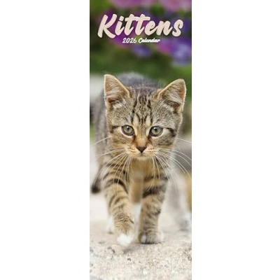 Image of Kittens Slim Calendar 2026