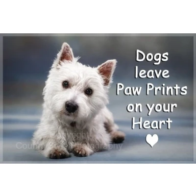 Image of Westie West Highland White Terrier Fridge Magnet Dogs Leave Paw Prints on Your Heart.