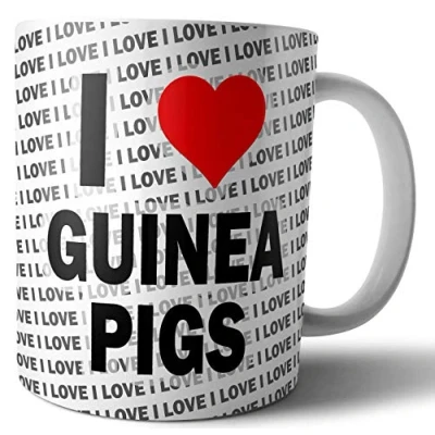 Image of AK Giftshop I Love Guinea Pigs Tea Coffee Mug Cup Birthday Christmas Gift