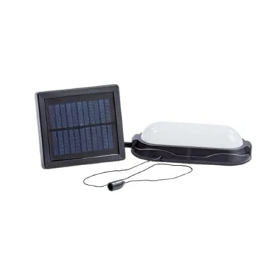 Image of Solar Powered LED Shed Light