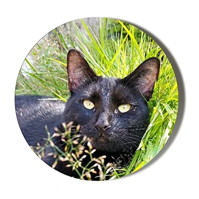 Image of CLASSIC BLACK CAT IN GRASS SUNNY DAY 38mm Round Fridge Magnet