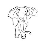 Image of Elephant Temporary Tattoo Large Size Pack Of 2