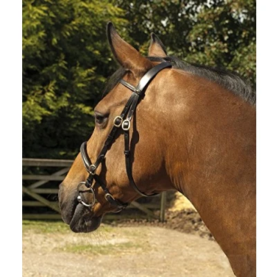 Image of Heritage English Leather In Hand Bridle Cob (Black)